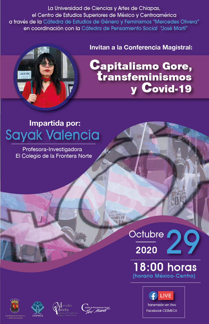 Capitalismo gore y transfeminismos 2020